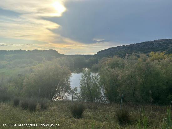  OPORTUNIDAD UNICA  FINCA CON PISTACHO, ALMENDRO Y OLIVA - JAEN