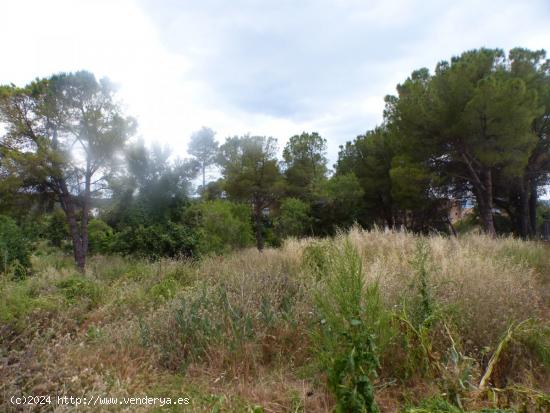 Se Vende en La Torre de Claramunt - BARCELONA