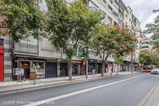 Local comercial en Av. de la Constitución. - GRANADA