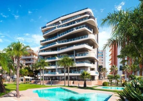  Apartamentos Deluxe (Guardamar ) - ALICANTE 