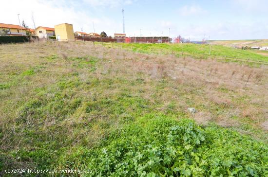 Urbis te ofrece una parcela en venta en Castellanos de Villiquera, Salamanca. - SALAMANCA