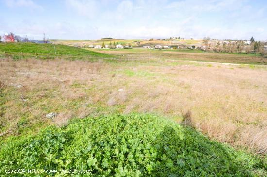 Urbis te ofrece una parcela en venta en Castellanos de Villiquera, Salamanca. - SALAMANCA