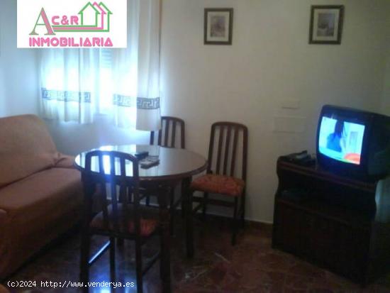 APARTAMENTO EN ALQUILER - CORDOBA