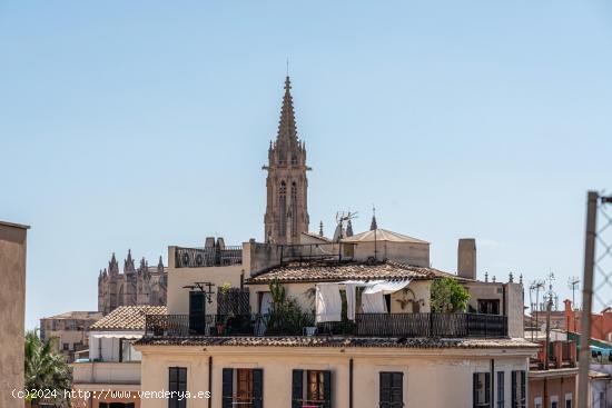  Piso totalmente reformado en Casco Antiguo, Palma - BALEARES 