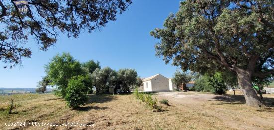 SE VENDE FINCA RÚSTICA EN ARCOS DE LA FRONTERA - CADIZ