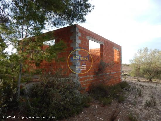 TERRENO CON POSIBILIDADES EN PALOMAR (VALENCIA) - VALENCIA