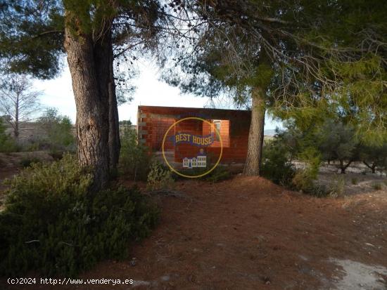 TERRENO CON POSIBILIDADES EN PALOMAR (VALENCIA) - VALENCIA