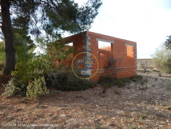 TERRENO CON POSIBILIDADES EN PALOMAR (VALENCIA) - VALENCIA