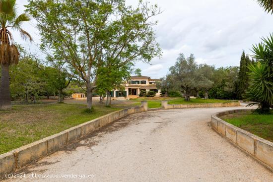 FINCA RUSTICA EN ALGAIDA CON PISCINA Y LICENCIA VACACIONAL. - BALEARES