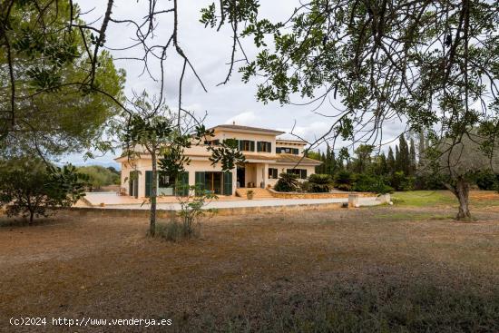 FINCA RUSTICA EN ALGAIDA CON PISCINA Y LICENCIA VACACIONAL. - BALEARES