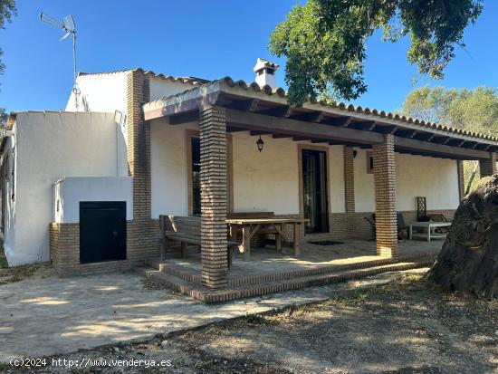 Espectacular finca de 76.329 m2 en Loma Maina, Alcalá de los Gazules - CADIZ