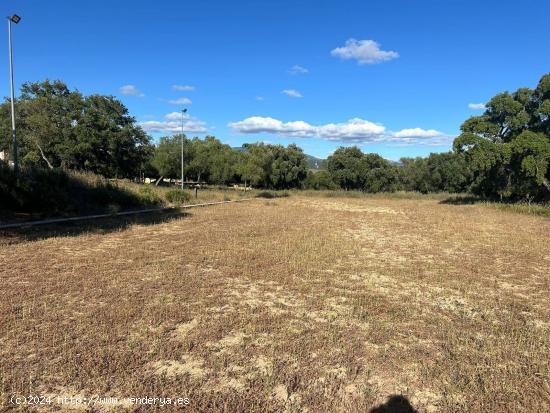 Espectacular finca de 76.329 m2 en Loma Maina, Alcalá de los Gazules - CADIZ