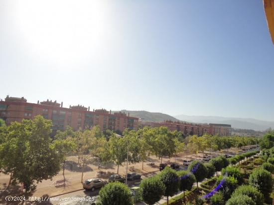 PARA ESTUDIANTES  , MUY SOLEADO , TODO EXTERIOR , GANGA-CHOLLO ÚNICO EN LA ZONA !!! - GRANADA