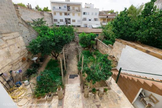 planta baja techo libre - BALEARES