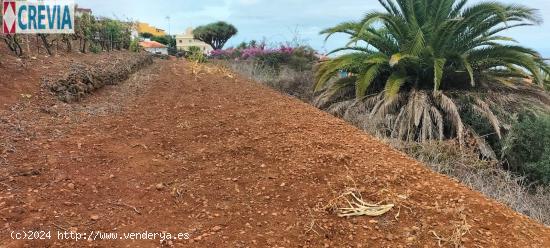 !! Estupendo terreno en el sauzal!!!!!!!!!! - SANTA CRUZ DE TENERIFE