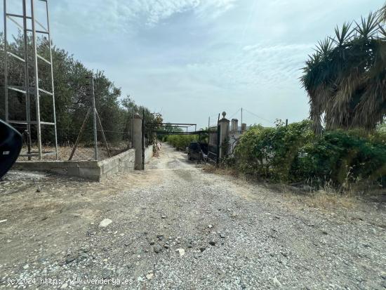  TERRENO EN ALHAURÍN EL GRANDE - MALAGA 