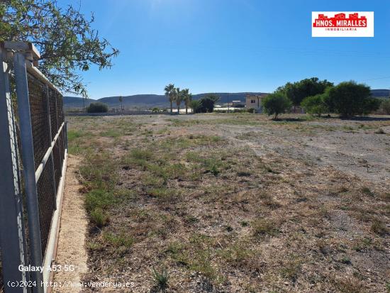 ALQUILER CAMPA CERCA AEROPUERTO DEL ALTET - IDEAL PARA PARKING VEHICULOS - ALICANTE