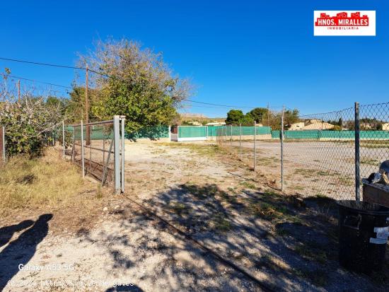 ALQUILER CAMPA CERCA AEROPUERTO DEL ALTET - IDEAL PARA PARKING VEHICULOS - ALICANTE