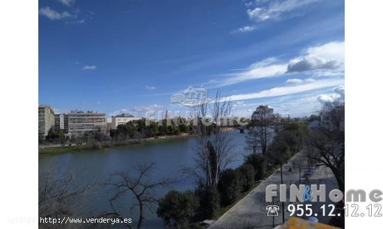 VIVIENDA EN ALQUILER EN  CALLE CASTILLA, JUNTO AL RÍO, CASCO ANTIGUO DE TRIANA. - SEVILLA