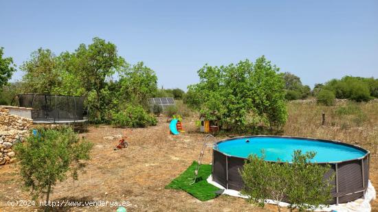 Finca rústica con casa de campo en Santa Margalida - BALEARES