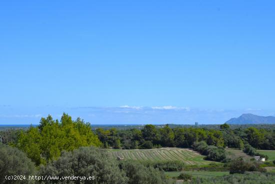 Finca rústica con maravillosas vistas a la Serra de Tramuntana y la bahia de Alcudia en Muro - BALE