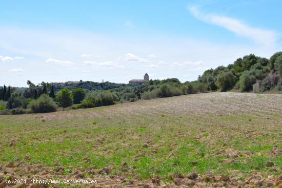 Finca rústica con maravillosas vistas a la Serra de Tramuntana y la bahia de Alcudia en Muro - BALE