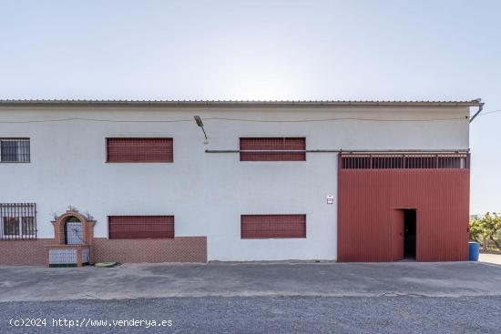 OPORTUNIDAD! CASA Y NAVE EN SANTA FÉ - GRANADA