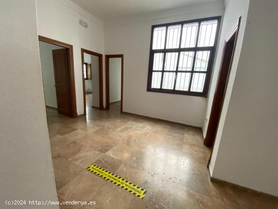  VIVIENDA AMPLIA EN EL CENTRO!!! - CADIZ 