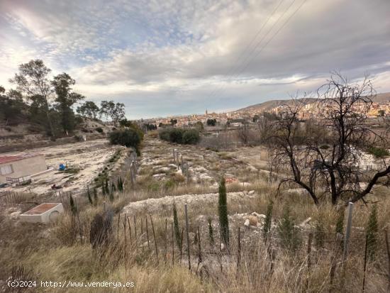 PARCELA JUNTO ATALAYA - MURCIA