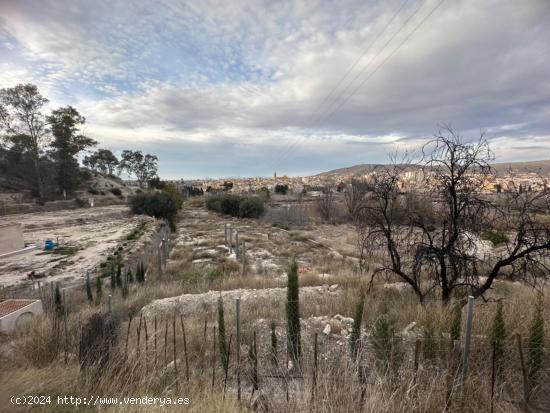 PARCELA JUNTO ATALAYA - MURCIA