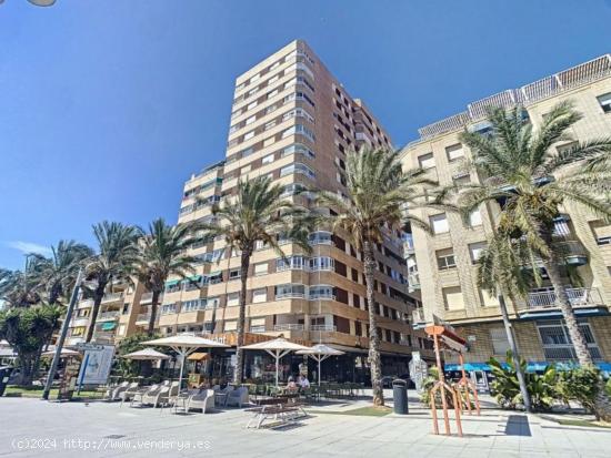 APARTAENTO PRIMERA LINEA PASEO MARÍTIMO DE 3 HABITACIONES - ALICANTE