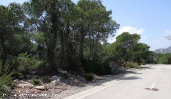  Se Vende en Almenara - CASTELLON 