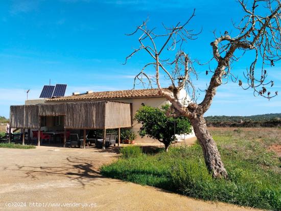 Casa en el campo cerca de Felanitx - BALEARES