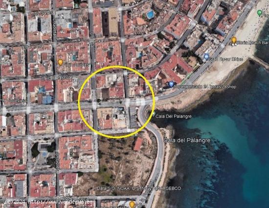 SE ALQUILA LOCAL COMERCIAL DE 275 MTS2, PRIMERA LINEA AVENIDA HABNERAS TORREVIEJA - ALICANTE