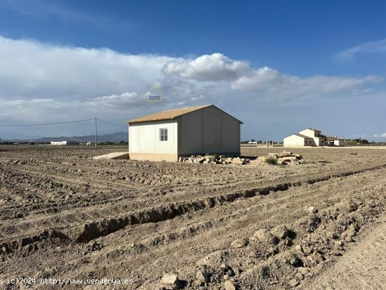 CASA DE APEROS CON PARCELA DE 5000 M2 - MURCIA