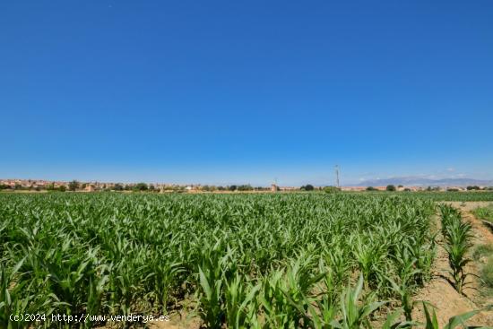  FINCAS RUSTICAS DE 5 Y 6 MARJALES EN CÚLLAR VEGA - GRANADA 