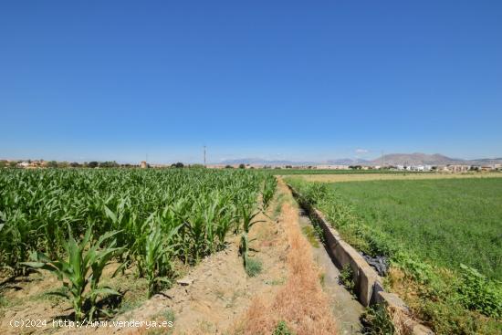 FINCAS RUSTICAS DE 5 Y 6 MARJALES EN CÚLLAR VEGA - GRANADA