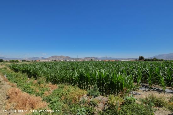 FINCAS RUSTICAS DE 5 Y 6 MARJALES EN CÚLLAR VEGA - GRANADA