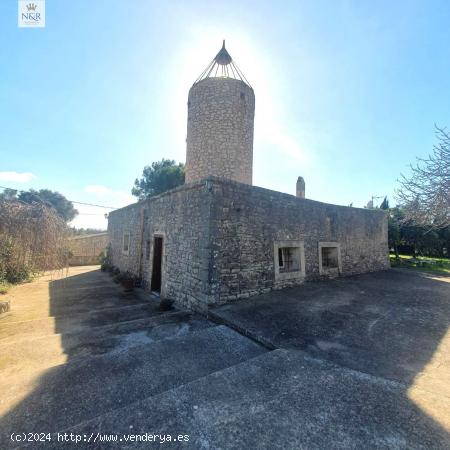 FINCA RÚSTICA EN VENTA EN BINISSALEM - BALEARES