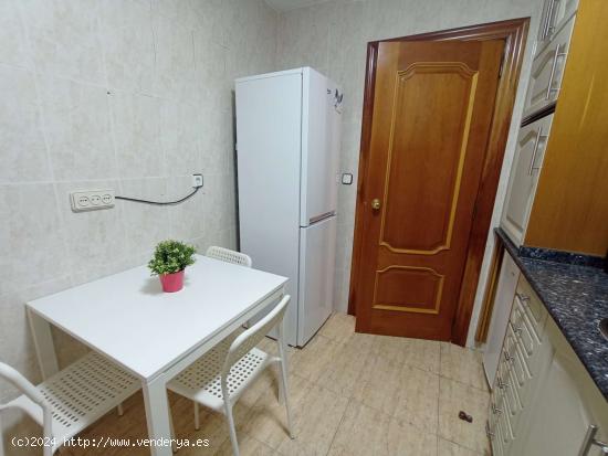 Se alquila habitación en piso compartido en Burjassot - VALENCIA