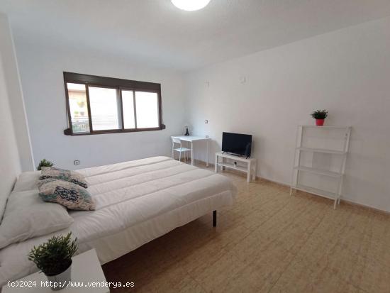 Se alquila habitación en piso compartido en Burjassot - VALENCIA