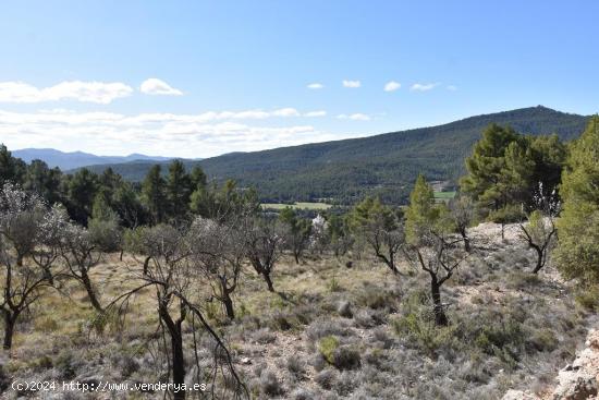  Se Vende en Fuentespalda - TERUEL 