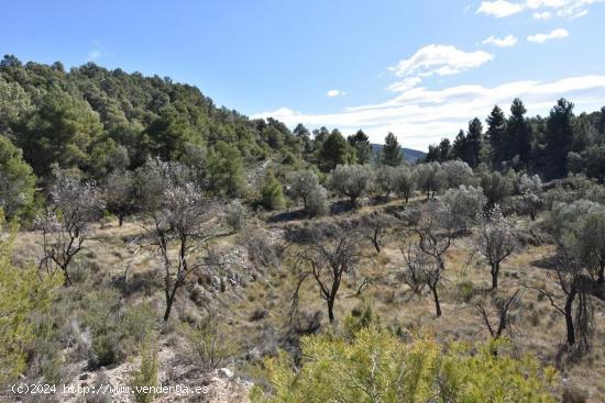 Se Vende en Fuentespalda - TERUEL