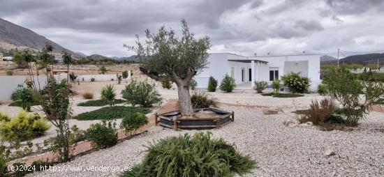 IMPECABLE VILLA EN MACISVENDA ABANILLA ! - MURCIA