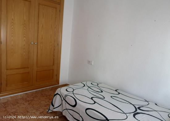 Habitacion para chica estudiante en la zona de Ancha de Capuchinos - GRANADA