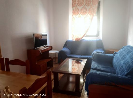 Habitacion para chica estudiante en la zona de Ancha de Capuchinos - GRANADA