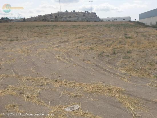 FINCA DE 26.000M CON POSIBILIDAD DE EXPLOTACION INDUSTRIAL - MURCIA