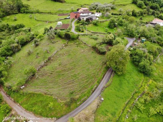  TERRENO URBANO TARAÑO (GRADO) - ASTURIAS 