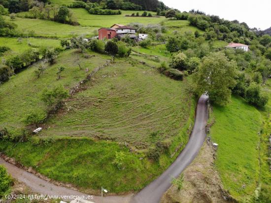 TERRENO URBANO TARAÑO (GRADO) - ASTURIAS