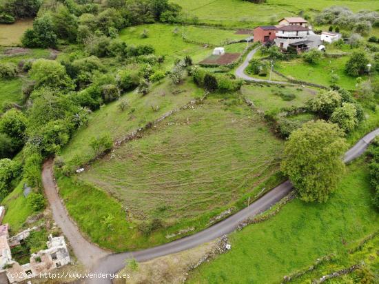 TERRENO URBANO TARAÑO (GRADO) - ASTURIAS